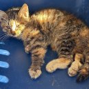 금호동 백운생활관 이미지