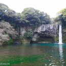 동홍생활체육관 이미지