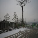 하얀농장 이미지