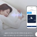 사계절 | 단꿈체험소 나비엔 숙면매트 사계절 PRO체험후기
