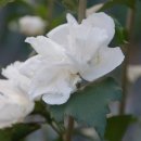 오색무지개 이미지