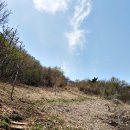 천주산 만남의 광장 이미지