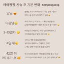 헤어팡팡 | 부산 헤어라인 반영구 &#34;세하뷰티&#34; 헤어팡팡 문신 시술 리얼후기