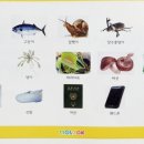 놀작늘봄아트미술학원