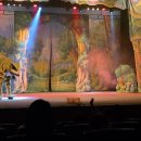 주니삼촌 공룡애니멀쇼 시즌2 이미지