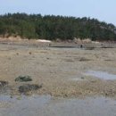 만대어촌체험휴양마을 이미지