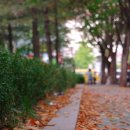 대공원역 3번 출구 이미지