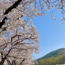 송해공원 제3주차장(2) 네이버블로그