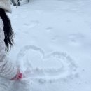 키클로스 주식회사 | [겨울 훗카이도 비에이투어 후기] 삿포로에 갈까요 ?