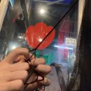 다영상회 - 홍천군 | 다영상회