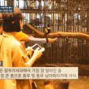 이룸아시아