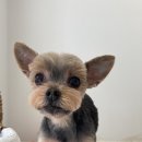 허그허그(HUGHUG) 이미지