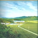 극동농장 이미지