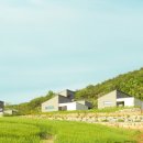 스테이 경화 이미지