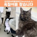 육칠이 - 안양시 만안구 양화로97번길 6 | 육칠이