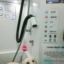 도그토피아 이미지