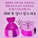 백화점·마트도 할인돼요…멤버십 서비스 강화하는 유통家 이미지