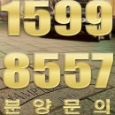 휘닉스노블스윙 이미지