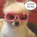 신한안전 네이버블로그