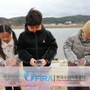 연어야연어야