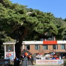 거진초 송정분교장 이미지