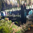 하계로 | 하계역 비엔티 웨딩홀 방문상담 후기, 가격과 분위기 모두 확인한 솔직 리뷰