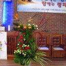꽃꽂이 Daum카페