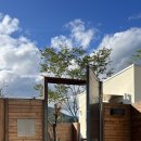 인더모은 이미지