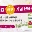 자연과 발효