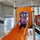 내체력 태권도장 이미지