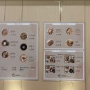밀본 서울역점 | 서울역 간단한 식사하기 좋은 한식 음식점•밀본