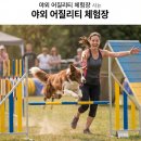 학교종이댕댕댕 충북보건과학대 반려동물 학교종이댕댕댕 5월 30일 무료 입장 총정리 이미지