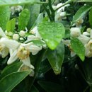 순복농장 이미지