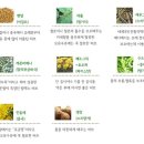 밀포차