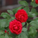 어반나래 이미지