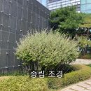 하늘조경관리