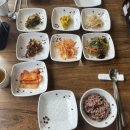 두미원 느티나무