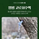 화야산작목반 이미지