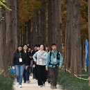 [241114] 주한외국인 서울둘레길 걷기축제 3탄 이미지