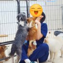 이천동물복지센터 | HATA×서울시립동물복지지원센터 트레이닝 실습 후기-6(260326)