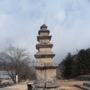 중원-95 Daum카페