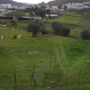 우람목장 이미지