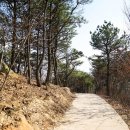참샘어린이공원 네이버블로그