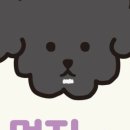 먼지.zip 이미지