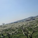 동민목장 이미지