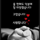 시시비비
