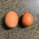 등고개2 이미지