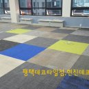 민당구장 이미지