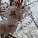 행복충만