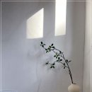 유유김밥 이미지